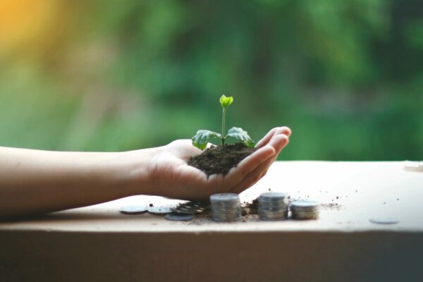 eco-investissement